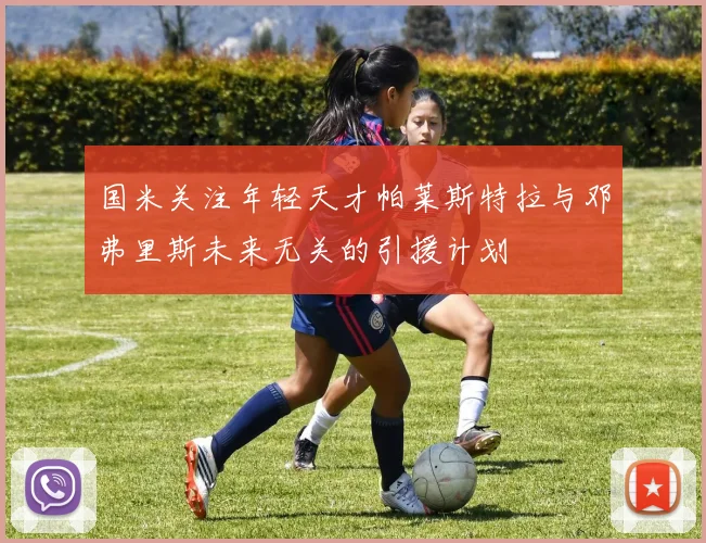 国米关注年轻天才帕莱斯特拉与邓弗里斯未来无关的引援计划